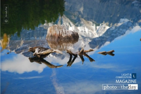 Deceiving by Arnab Pal - Abstract Photography, Photography Awards, Nature Photography, Online Photography Courses, Photo of the Day