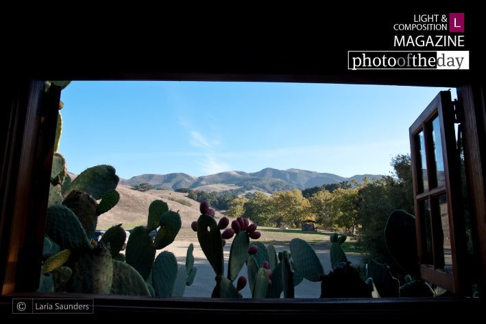 Window to Beyond by Laria Saunders - Conceptual Photography, Photo of the Day, Photography Awards, Art Photography, Online Photography Courses