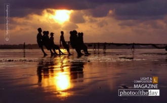 Pulling Together, by Satyam Roy Chowdhury