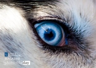 The Eye, by Daniele Lembo