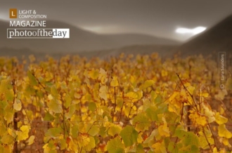 Storm Over Vinyard, by Laria Saunders