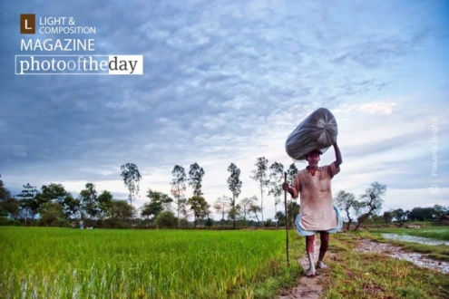 Village Life, by Prasanta Singha - Artistic Photography, Photo of the Day, Village Life, Prasanta Singha, Travel Photography
