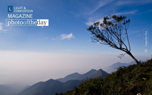 Alone..., by Sagarika Roy - Nature Photography, Photo of the Day, Photography Awards, Art Photography, Online Photography Courses
