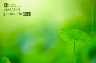 Umbrella, by Joaquín Alonso Arellano Ramírez