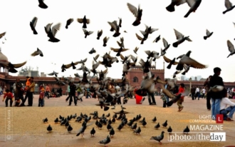 Flight of Dreams, by Vishal Arora