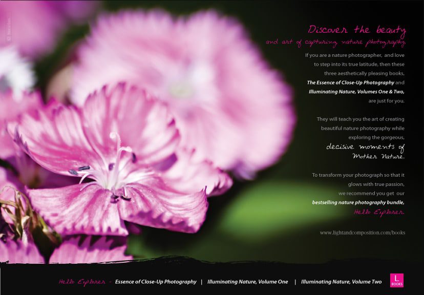 Discover the beauty and art of capturing nature photography - Nature Photography, Photography Techniques, Photography Books, Close-up Photography, Nature Photography Tutorials