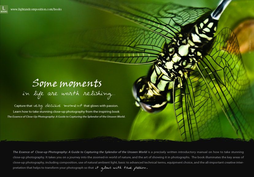 Some moments in life are worth relishing… - Close-up Photography, Nature Photography, Photography Techniques, Composition, Lighting