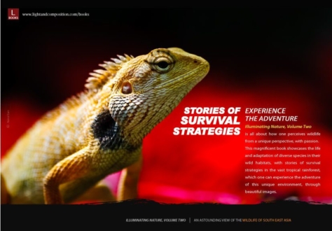 Stories of survival strategies - Wildlife Photography, Nature Photography, Survival Strategies, Photo Book, Illuminating Nature