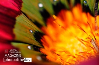 Deep into the Core, by Joaquín Alonso Arellano Ramírez