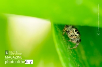 Hi There! by Joaquín Alonso Arellano Ramírez