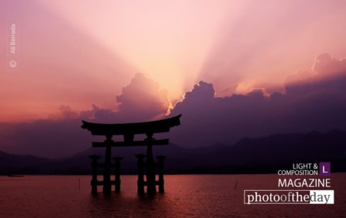 In love with Miyajima, by Ali Berrada - Travel Photography, Photojournalism, Photography Awards, Photo of the Day, Ali Berrada