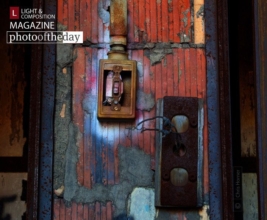 Panel, by Chris Horner