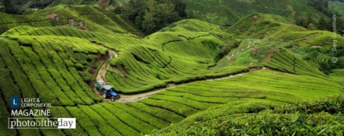 Curvy Tea, by Greg Goodman - Travel Photography, Photography Award, Photo of the Day,  Award Winning Photography, Greg Goodman