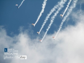 Skydivers, by Chris Horner