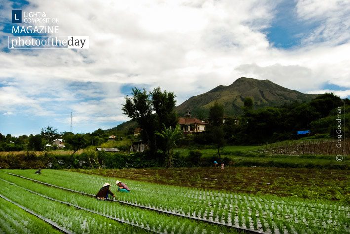 Volcanic Onion Fields, by Greg Goodman - Travel Photography, Volcanic Landscape Photography, Photo of the Day, Bali Photography, Greg Goodman