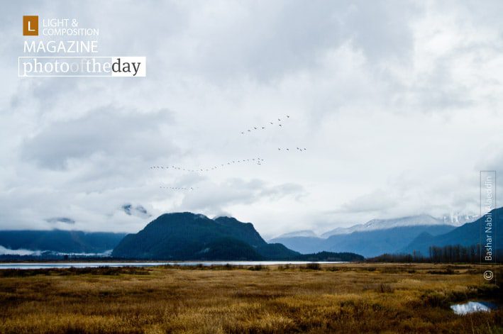Birdscape, by Bashar Alaeddin - Landscape Photography, Photography Awards, Photo of the Day,  Art Photography, Online Photography Courses