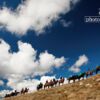 Adventure Photography, Landscape Photography, Travel Photography, Photo of the Day, Mount Bogong – Bogong Horseback Adventure, by Cameron Cope Bogong Horseback Adventure, by Cameron Cope - Adventure Photography, Landscape Photography, Travel Photography, Photo of the Day, Mount Bogong