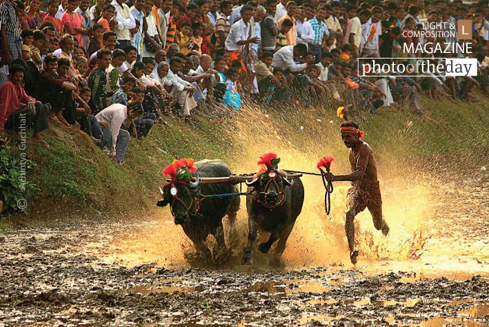 Kambala, a Village Sports, by Achintya Guchhait - Kambala, Motion Photography, Photojournalism, Award-Winning Photography,  Photography Awards