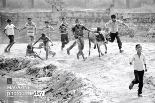 Seasonal Cowboys, by Shahnaz Parvin - Documentary Photography, Photojournalism, Eid, Bangladesh, Photography Awards