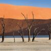 Deadvlei, by Rainer Mirau - Landscape Photography, Deadvlei, Namibia, Nature Photography, Photo of the Day