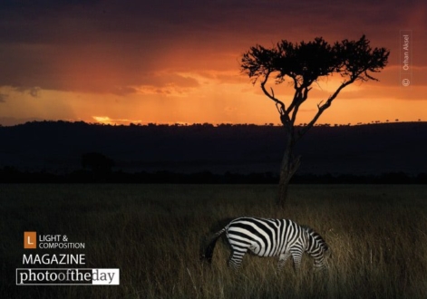 Sunset in Maasai Land, by Orhan Aksel - Wildlife Photography, Photojournalism,  Sunset Photography, Maasai Mara,  Award Winning Photography