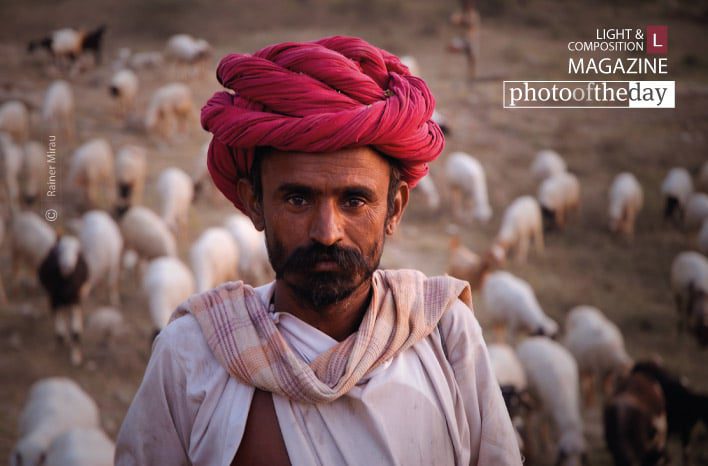 The Ranakpur Shepherd, by Kristian Bertel - Portrait Photography, Photojournalism, Photography Awards, Photo of the Day, Documentary Photography