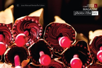 Wagasa by Jose Manuel Renteria Cobos