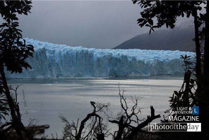 Perito Moreno Glacier, by Nilla Palmer - Landscape Photography, Photography Awards, Photo of the Day, Nilla Palmer,  Glacier Photography