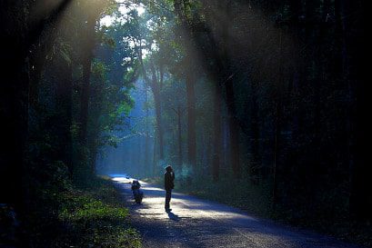 Waiting for the Ride by Biplab Majumder - Minimalist Photography, Photo of the Day, Photography Awards, Art Photography, Online Photography Courses