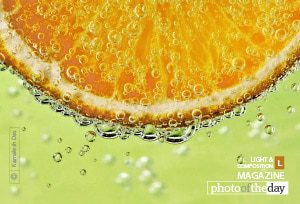 Food Photography, Photography Awards, Photo of the Day, Art Photography, Online Photography Courses – Thirsty, by Kamalesh Das Thirsty, by Kamalesh Das - Food Photography, Photography Awards, Photo of the Day, Art Photography, Online Photography Courses