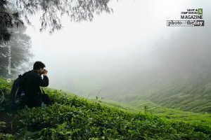 The Hunter, by Mai Phuong Duong - Travel Photography, Award Winning Photography, Photo of the Day, Art Photography, Online Photography Courses