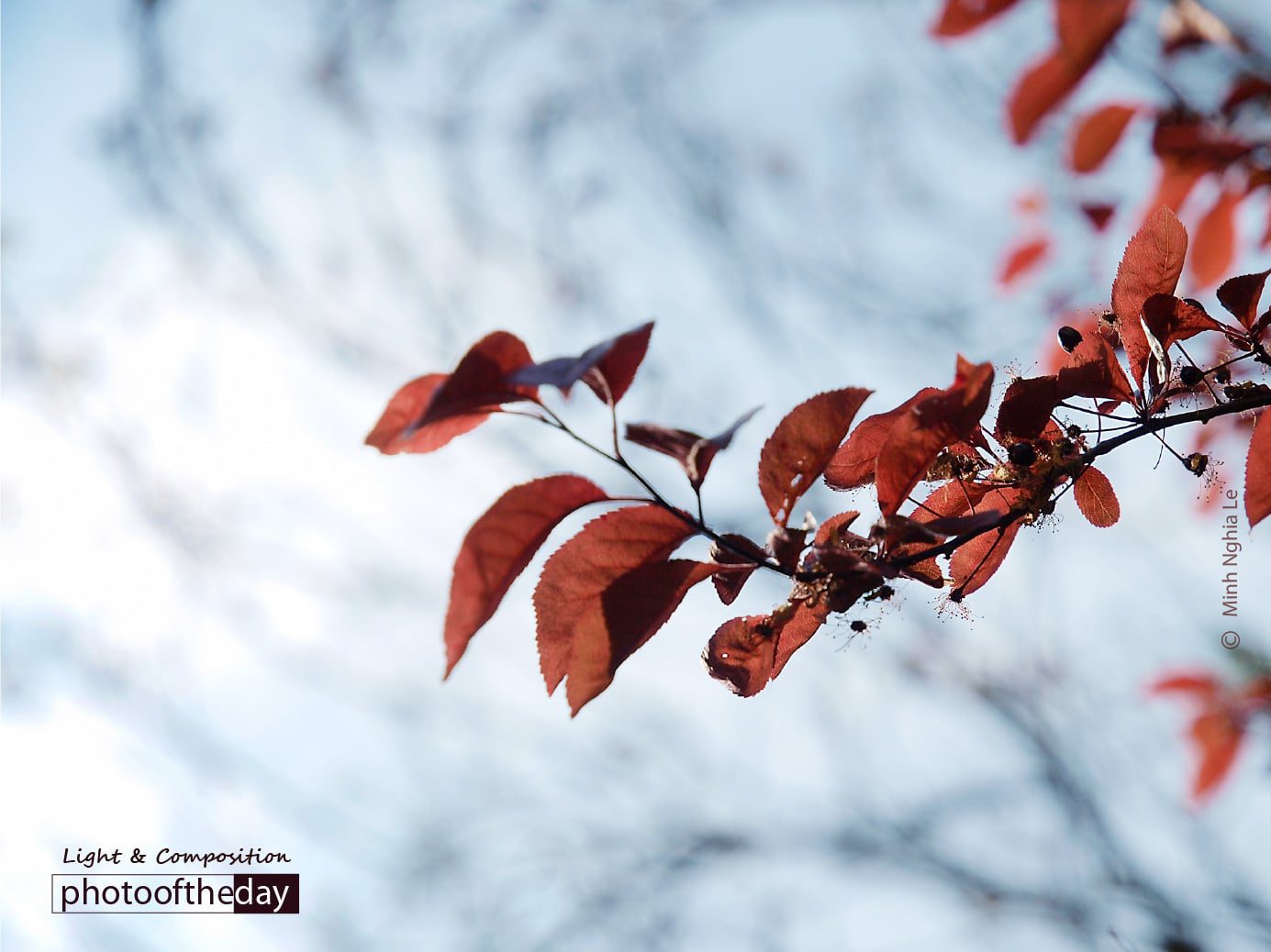 Spring in Offenbach, by Minh Nghia Le - Nature Photography, Photography Awards, Photo of the Day, Spring Photography, Offenbach