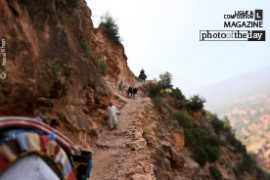 Say 'Yes' to Life! - Photography, Art Photography, Photojournalism, Artistic Process, Life as Art