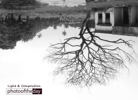A Dead Reflection, by Liton Chowdhury - Conceptual Photography, Photo of the Day, Reflection Photography, Art Photography, Photography Awards
