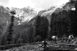 Horses of Kutla, by Shikchit Khanal - Photojournalism, Black and White Photography, Award Winning Photography, Photo of the Day, Shikchit Khanal