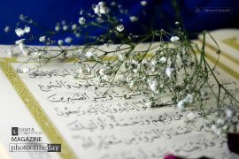 Islamic Photography, Photojournalism, Art Photography, Photography Awards, Online Photography Courses – Your Gateway to Marvels, by Zahraa Al Hassani Your Gateway to Marvels, by Zahraa Al Hassani - Islamic Photography, Photojournalism, Art Photography, Photography Awards, Online Photography Courses