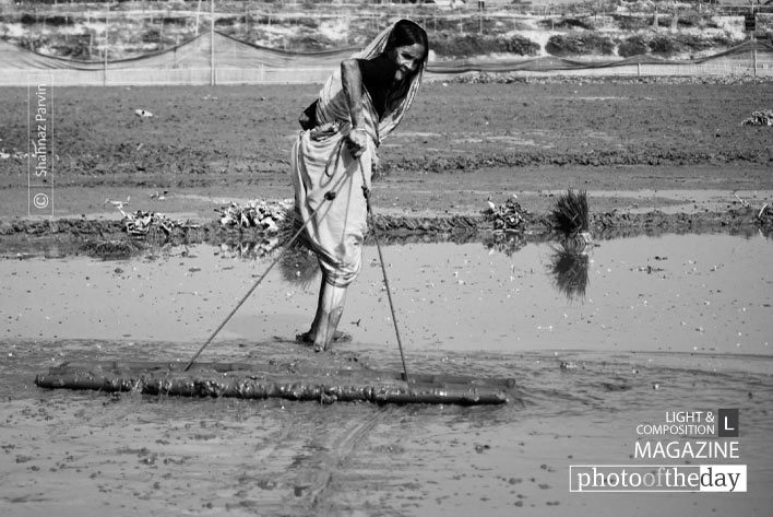 The Mother of the Land, by Shahnaz Parvin - Documentary Photography, Photojournalism, Art Photography, Photography Awards, Online Photography Courses