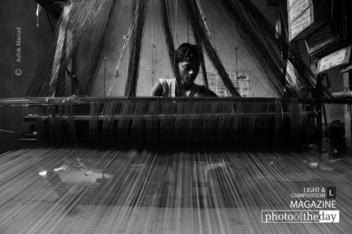 Banarasi Handloom, by Ashik Masud - Documentary Photography, Banarasi Handloom,  Sari Weaving, Dhaka,  Photo of the Day