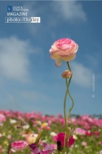 Leading Edge by Laria Saunders