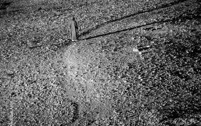 Almost Done, by Abdellah Azizi - Photojournalism, Black and White Photography, Photography Awards, Photo of the Day, Abdellah Azizi