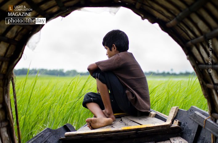 Lost in the green, by Shahnaz Parvin - Photojournalism, Candid Photography, Documentary Photography, Art Photography, Photo of the Day