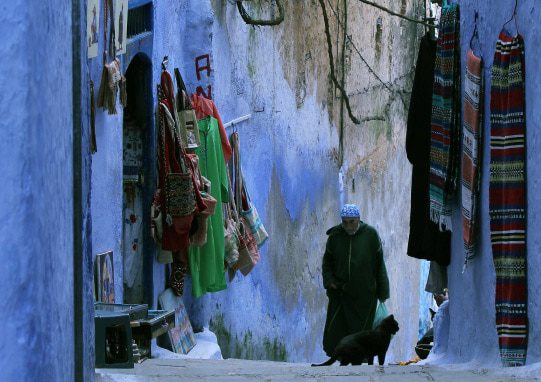 Street Photography, Photography Awards, Photojournalism, Art Photography, Online Photography Courses - Crossing my Path, by Nilla Palmer Crossing my Path, by Nilla Palmer - Street Photography, Photography Awards, Photojournalism, Art Photography, Online Photography Courses