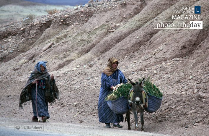 Off to Market, by Nilla Palmer - Travel Photography, Photojournalism, Photography Awards, Photo of the Day,  Art Photography