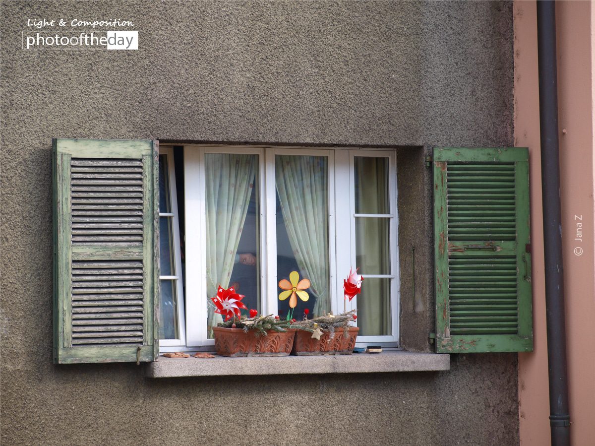 It Must Be Spring, by Jana Z - Still Life Photography, Photography Awards, Photo of the Day, Art Photography, Online Photography Courses