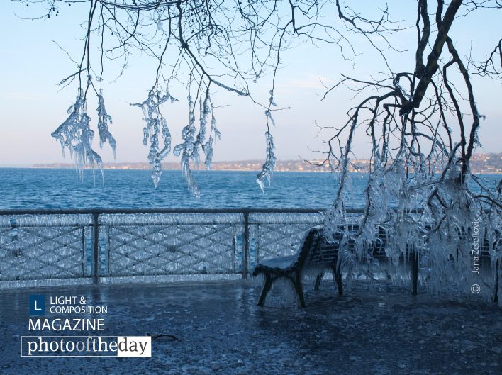 I said freeze! by Jana Z - Nature Photography, Photography Awards, Photo of the Day, Art Photography, Online Photography Courses