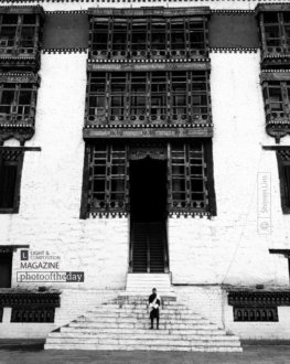 Standing Tall by Shirren Lim - Architectural Photography, Photojournalism, Art Photography, Photography Awards, Online Photography Courses