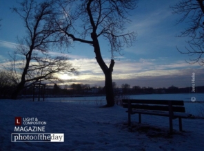 Park Bench in Winter, by Jens Hieke