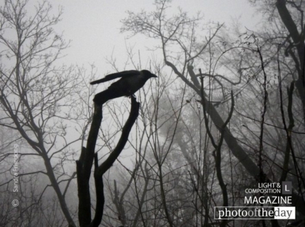 Bless the Broken Road, by Sandra Frimpong - Art Photography, Photojournalism, Photography Awards, Photo of the Day, Black and White Photography