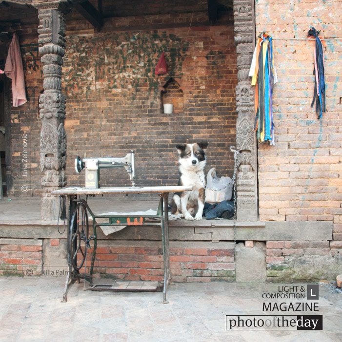 I'll Wait Right Here, by Jana Z - Street Photography, Photography Awards, Photo of the Day,  Award Winning Photography, Jana Z