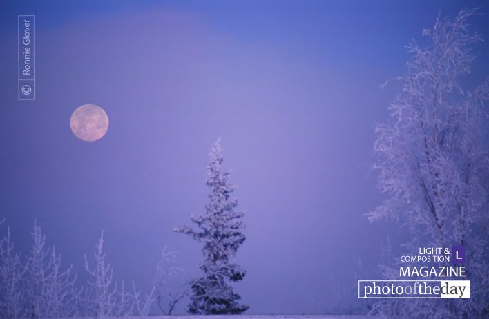 Frosty Moon, by Ronnie Glover - Nature Photography, Photography Awards, Photo of the Day, Landscape Photography, Award Winning Photography